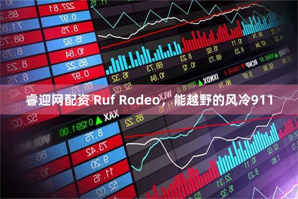 睿迎网配资 Ruf Rodeo，能越野的风冷911